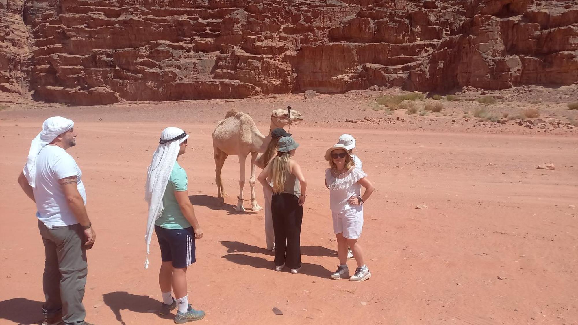 Luxury tent غرووب Wadi Rum