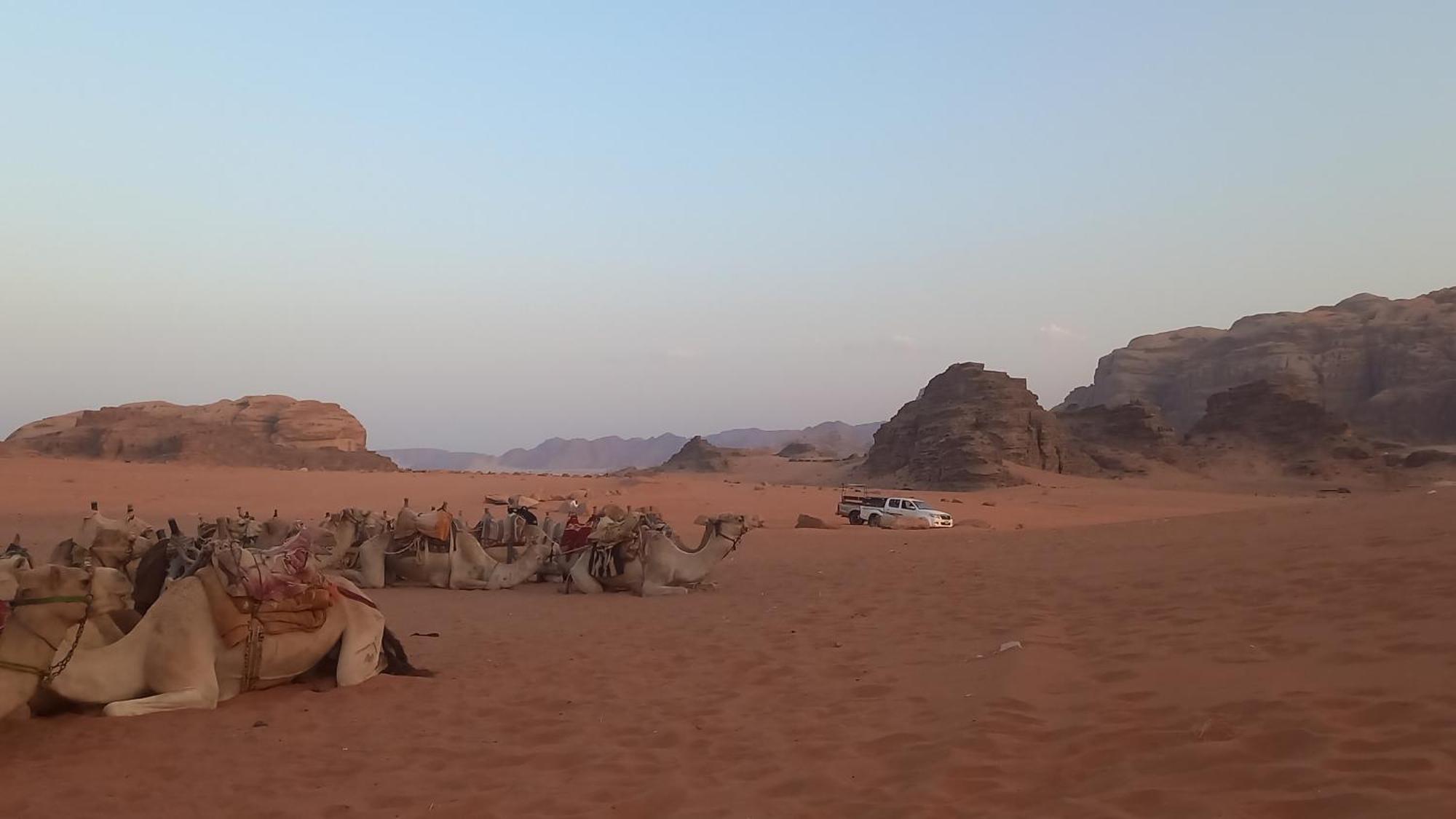 Luxury tent غرووب