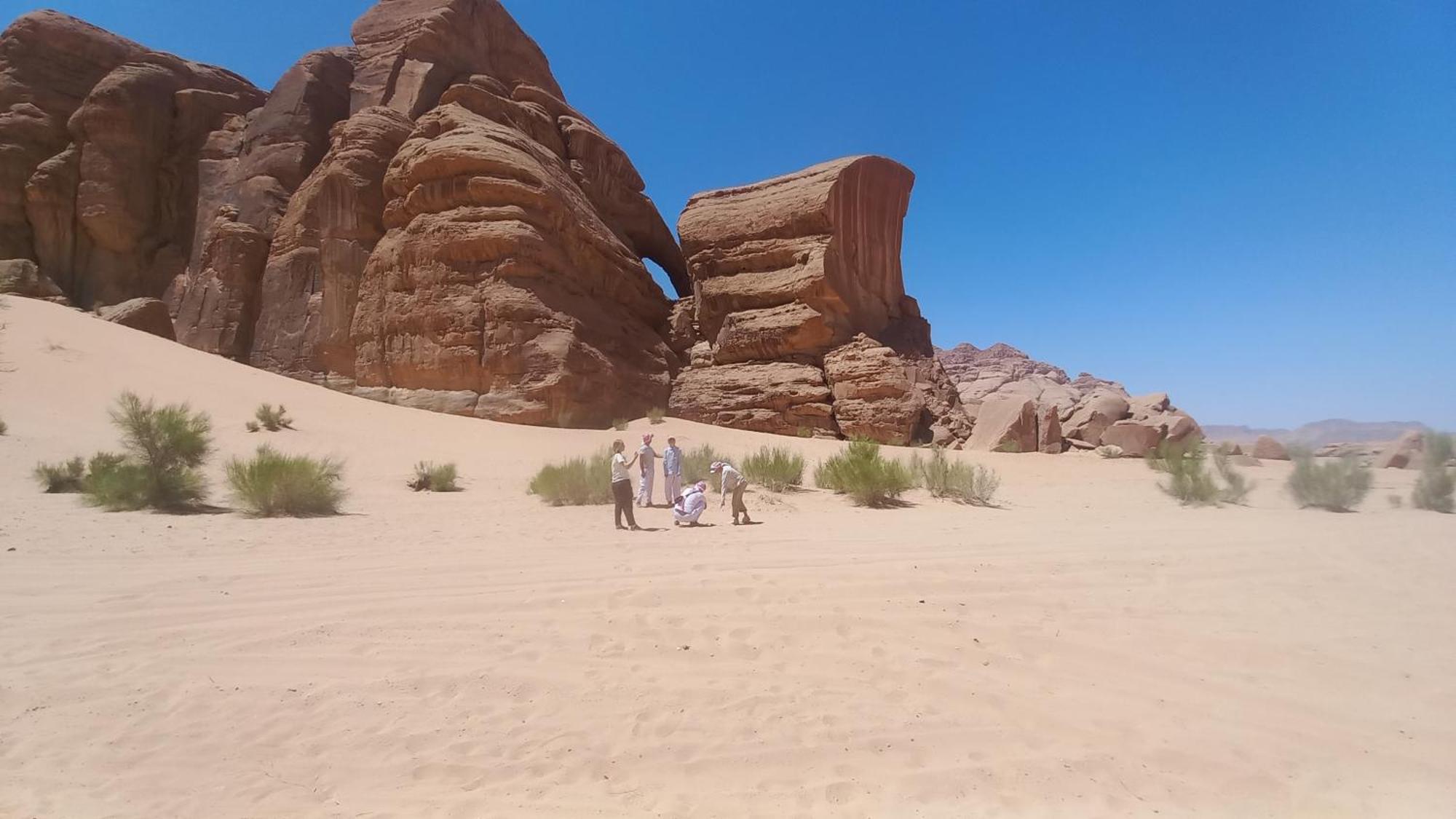 Luxury tent غرووب 5*